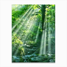 Rays Of Light In The Forest Canvas Print