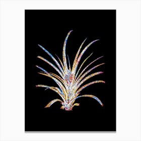 Stained Glass Pineapple Mosaic Botanical Illustration on Black n.0257 Canvas Print