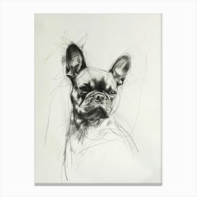 French Bulldog Charcoal Line 3 Canvas Print