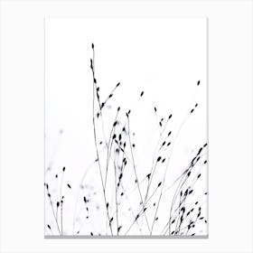 Black Grass in Canvas Print