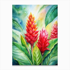 5 Bright Red Ginger Flowers In Tropical Gardens (1) Canvas Print