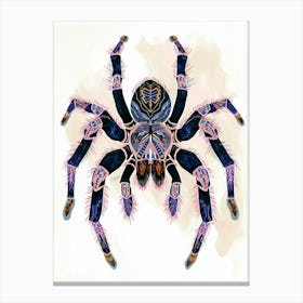 Colourful Insect Illustration Tarantula 1 Canvas Print