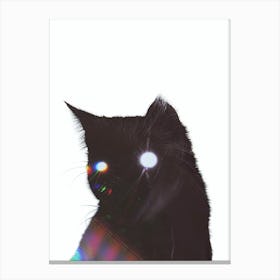 Dark Cat Canvas Print