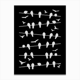 Birds on lines - White Canvas Print