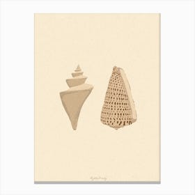 Couple Of Seashells Canvas Print