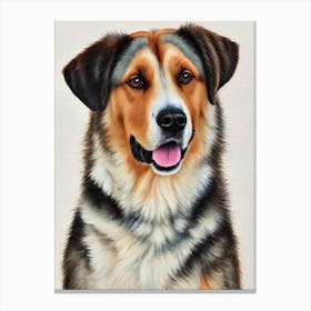 Anatolian Shepherd Dog Watercolour dog Canvas Print