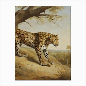 Leopard In The Wild Canvas Print