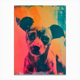 Polaroid Puppies 2 Canvas Print