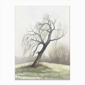 Willow Tree Atmospheric Watercolour Painting 1 Canvas Print