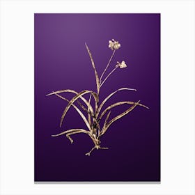 Gold Botanical Spiderwort on Royal Purple n.2517 Canvas Print