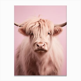 Pastel Pink Portrait Of Highland Cow 3 Canvas Print