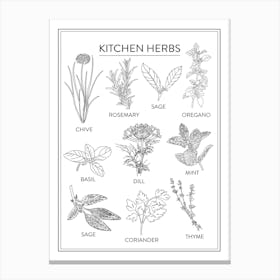 Kitchen Herbs Chart Black And White Canvas Print