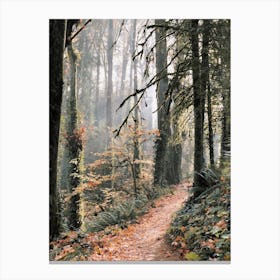 Pacific Northwest Forest Canvas Print