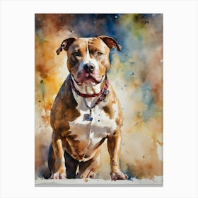 American Pit Bull Terrier 1 Canvas Print