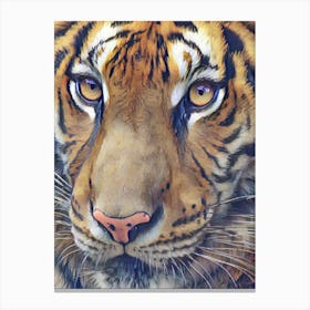 Tiger Tiger Burning Bright Canvas Print