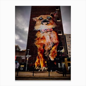 Dog On A Building Canvas Print