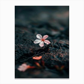 Sakura Flower Canvas Print