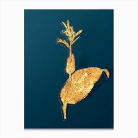 Vintage Indian Shot Botanical in Gold on Teal Blue n.0030 Canvas Print
