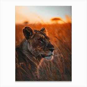 Lioness Canvas Print