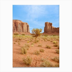 Monument Valley X on Film Canvas Print