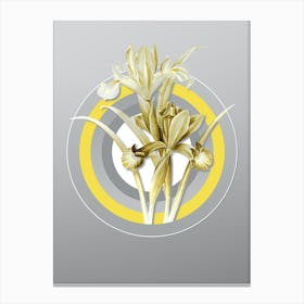 Botanical Spanish Iris in Yellow and Gray Gradient n.058 Canvas Print