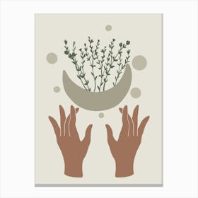 Two Hands Holding A Plant Canvas Print
