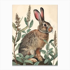 American Sable Black Blockprint Rabbit Illustration 4 Canvas Print