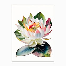 American Lotus Decoupage 1 Canvas Print