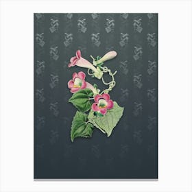 Vintage Blushing Lophospermum Botanical on Slate Gray Pattern n.0720 Canvas Print