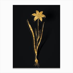Vintage Lady Tulip Botanical in Gold on Black n.0418 Canvas Print