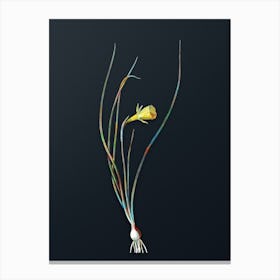 Vintage Daffodil Botanical Watercolor Illustration on Dark Teal Blue n.0612 Canvas Print