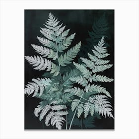Silver Lace Fern Painting 1 Canvas Print