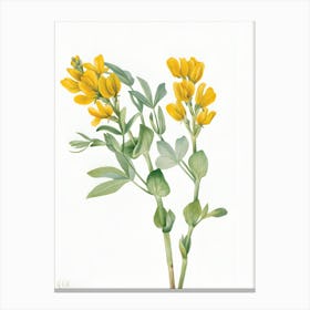 Yellow Flowers 1 Canvas Print