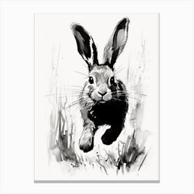Rabbit Prints Ink Drawing Black And White 6 Canvas Print