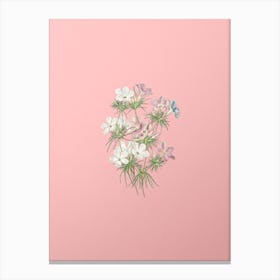 Vintage Thick Flowered Slender Tube Botanical on Soft Pink Canvas Print