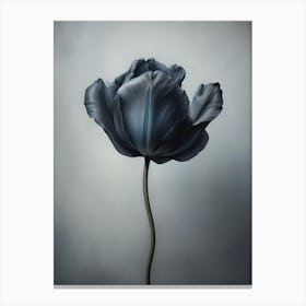 Black Flower 7 Canvas Print