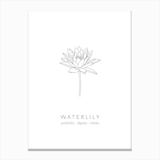 Waterlily Birth Flower Canvas Print