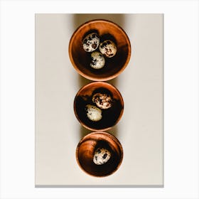 Quail Eggs In Bowls Canvas Print