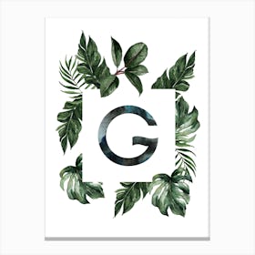 Botanical Alphabet G Canvas Print
