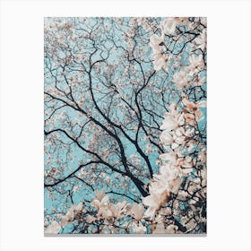 Magnolia Tree Canvas Print