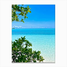 Relax Ocean Plant Idylli Holiday Coastline Beautiful Calm Shore Blue Paradise Sunlight N (32) Canvas Print