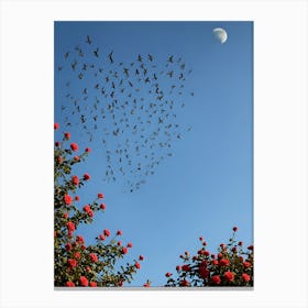 Birds In The Sky Canvas Print