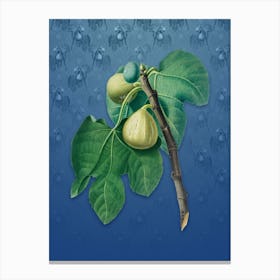 Vintage Fig Botanical on Bahama Blue Pattern n.0030 Canvas Print