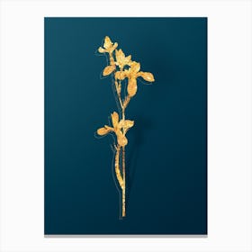 Vintage Siberian Iris Botanical in Gold on Teal Blue n.0182 Canvas Print