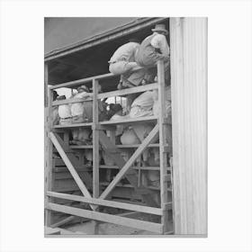 Untitled Photo, Possibly Related To Southeast Missouri Farms, Spectators At Auction Of Cattle Near Sikeston, Misso Canvas Print