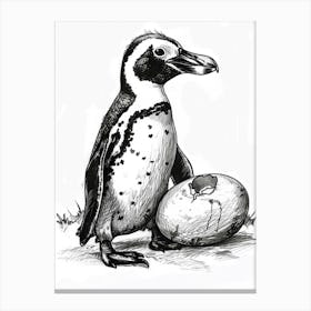 African Penguin Hatching 4 Canvas Print