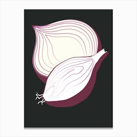 Onion On Black Background Canvas Print