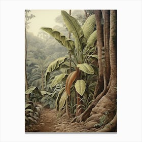 Vintage Jungle Botanical Illustration Banana Plant 1 Canvas Print