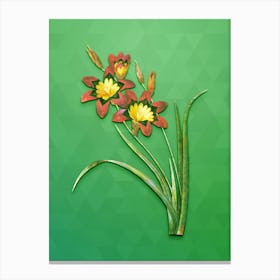 Vintage Ixia Tricolore Botanical Art on Classic Green n.1334 Canvas Print
