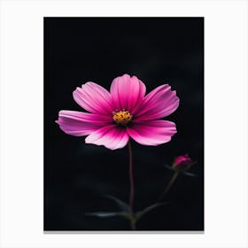 Cosmos Flower 2 Canvas Print